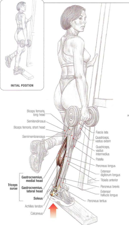 Single-Leg Calf Raises